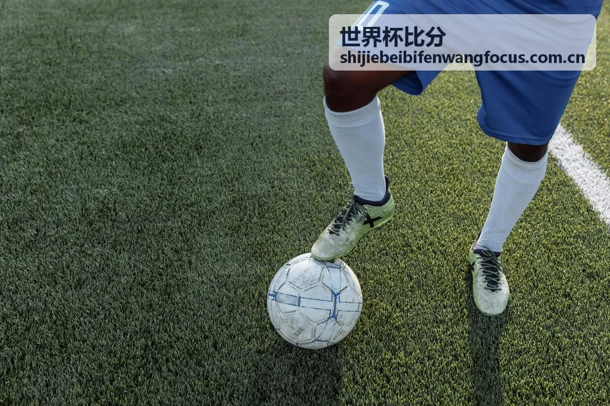 世界杯比分法国队